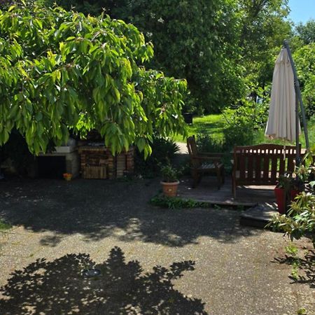 Appartement Avec Jardin A קולמר מראה חיצוני תמונה